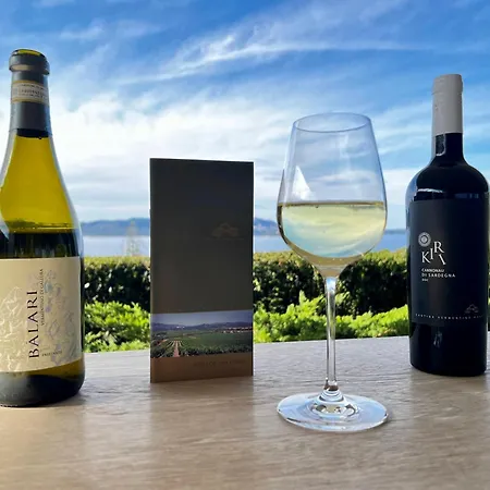 Charming & Luxurious Garibaldi Big - Fully Equipped & Renovated - Old Town Olbia